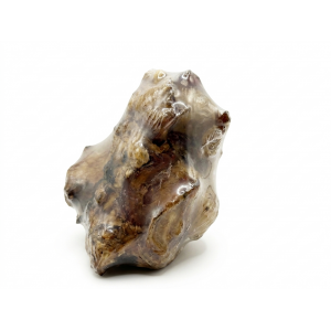 ONERS Dino Bone
