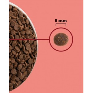 ACANA HIGHEST PROTEIN Indoor Cat