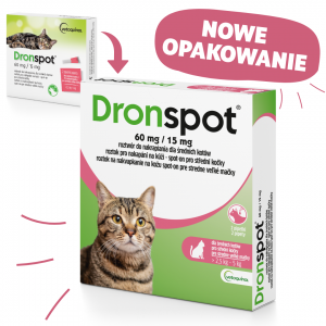 BAYER Dronspot 60mg (2 pipety) dla średnich kotów o wadze 2,5 do 5 kg