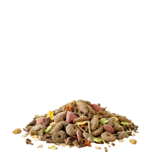 VERSELE-LAGA Crispy Muesli Rabbits - dla królików miniaturek 850g