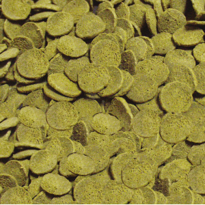 SERA Pleco Chips Nature 100ml - pokarm dla ryb przydennych