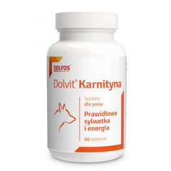 DOLFOS Dolvit Karnityna 90 tabletek PROMO Krótki termin