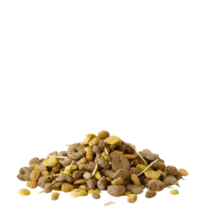 VERSELE-LAGA Crispy Snack with Fibres - granulat warzywny - karma uzupełniająca dla gryzoni 1,5kg