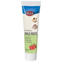 TRIXIE Pasta ze słodem i owocami dla gryzoni 100g