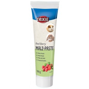 TRIXIE Pasta ze słodem i owocami dla gryzoni 100g