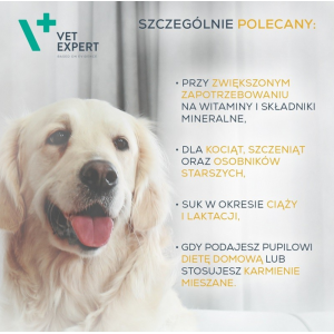 VETEXPERT Multivitamin 50 kapsułek Twist Off