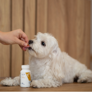 VETEXPERT Multivitamin 50 kapsułek Twist Off