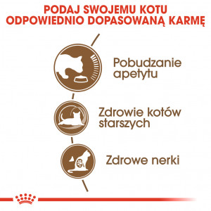 ROYAL CANIN Ageing +12 karma sucha dla kotów dojrzałych