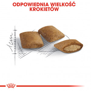 ROYAL CANIN Ageing +12 karma sucha dla kotów dojrzałych