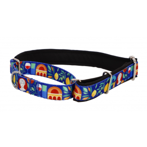 DINGO Obroża Martingale City Greece 2,5 x 32-53cm