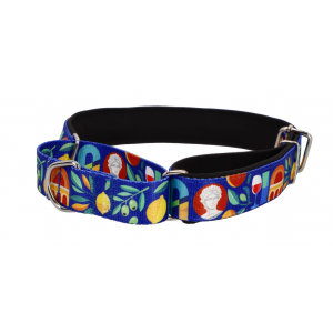 DINGO Obroża Martingale City Greece 2,5 x 32-53cm