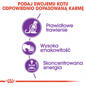 ROYAL CANIN Sensible 33 karma sucha dla kotów dorosłych, o wrażliwym układzie pokarmowym