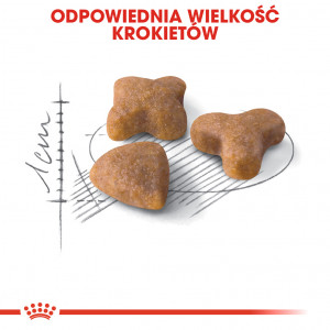 ROYAL CANIN Sensible 33 karma sucha dla kotów dorosłych, o wrażliwym układzie pokarmowym