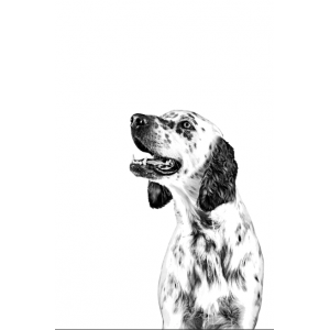 ROYAL CANIN Urinary Treats 230g