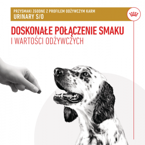 ROYAL CANIN Urinary Treats 230g