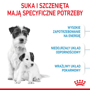 ROYAL CANIN Mini Starter Mother & Babydog