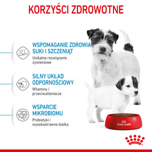 ROYAL CANIN Mini Starter Mother & Babydog