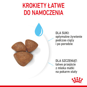 ROYAL CANIN Mini Starter Mother & Babydog
