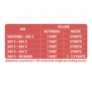 VERSELE-LAGA NutriBird A21 - do ręcznego karmienia piskląt