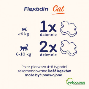VETOQUINOL Flexadin Cat 60 kąsków