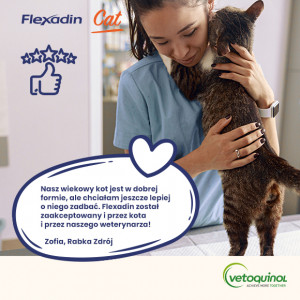 VETOQUINOL Flexadin Cat 60 kąsków