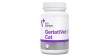 VETEXPERT GeriatiVet Cat 60kaps. (Twist Off) PROMO Krótki termin
