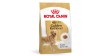 ROYAL CANIN Golden Retriever Adult karma sucha dla psów dorosłych rasy golden retriever