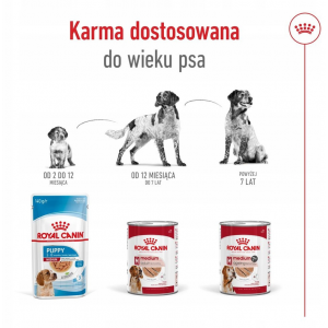 ROYAL CANIN Medium Ageing 7+ Mokra Karma Pasztet dla psów ras średnich 410g