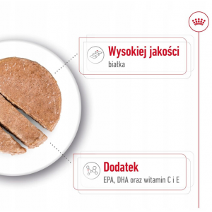 ROYAL CANIN Medium Ageing 7+ Mokra Karma Pasztet dla psów ras średnich 410g