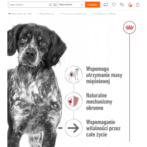 ROYAL CANIN Medium Ageing 7+ Mokra Karma Pasztet dla psów ras średnich 410g
