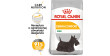 ROYAL CANIN CCN Mini Dermacomfort 3kg PROMO Uszkodzenie ubytek