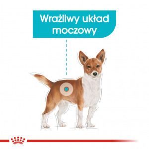ROYAL CANIN CCN Mini Urinary Care