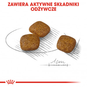 ROYAL CANIN CCN Mini Urinary Care