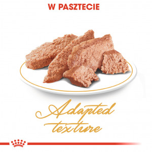 ROYAL CANIN Persian Adult karma mokra - pasztet dla kotów dorosłych rasy perskiej