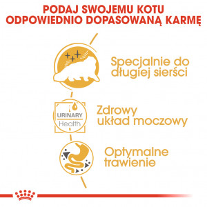 ROYAL CANIN Persian Adult karma mokra - pasztet dla kotów dorosłych rasy perskiej