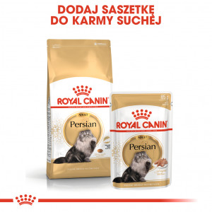 ROYAL CANIN Persian Adult karma mokra - pasztet dla kotów dorosłych rasy perskiej