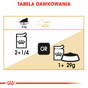 ROYAL CANIN Persian Adult karma mokra - pasztet dla kotów dorosłych rasy perskiej