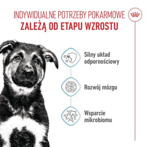 ROYAL CANIN Maxi Puppy