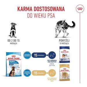 ROYAL CANIN Maxi Puppy