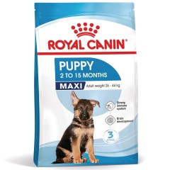 ROYAL CANIN Maxi Puppy karma sucha dla szczeniąt, od 2. do 15. miesiąca życia, ras dużych