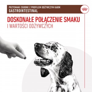 ROYAL CANIN Dog Gastrointestinal Treats przysmak dla psów dorosłych, kompatybilny z profilem odżywczym karmy Gastrointestinal