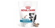 ROYAL CANIN Dog Hypoallergenic Treats przysmak dla psów dorosłych, kompatybilny z profilem odżywczym karmy Hypoallergenic 230g