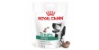 ROYAL CANIN Dog Satiety Treats przysmak dla psów dorosłych, kompatybilny z profilem odżywczym karmy Satiety
