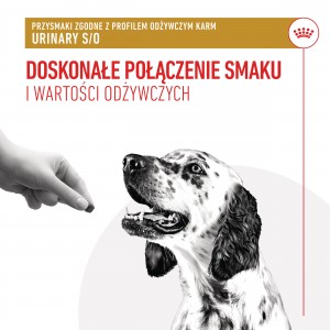 ROYAL CANIN Urinary Treats 230g