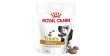 ROYAL CANIN Dog Urinary S/O Treats przysmak dla psów dorosłych, kompatybilny z profilem odżywczym karmy Urinary 230g