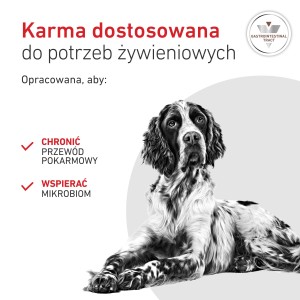ROYAL CANIN VHN DOG Gastrointestinal Loaf karma mokra, pasztet, ograniczenie zaburzeń wchłaniania jelitowego 400g