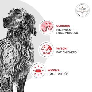 ROYAL CANIN VHN DOG Gastrointestinal Loaf karma mokra, pasztet, ograniczenie zaburzeń wchłaniania jelitowego 400g