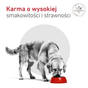 ROYAL CANIN VHN DOG Gastrointestinal Loaf karma mokra, pasztet, ograniczenie zaburzeń wchłaniania jelitowego 400g