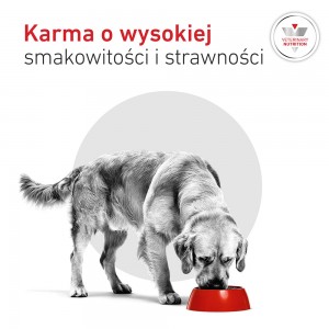 ROYAL CANIN VHN Glycobalance karma sucha, dla psów dorosłych