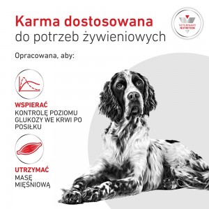 ROYAL CANIN VHN Glycobalance karma sucha, dla psów dorosłych
